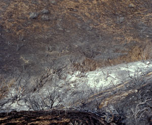 Started by a bullet fired at a nearby target range, the Boise Foothills Fire burned more than 15,000 acres in 1996.